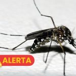 Caçapava registra mais um caso de dengue