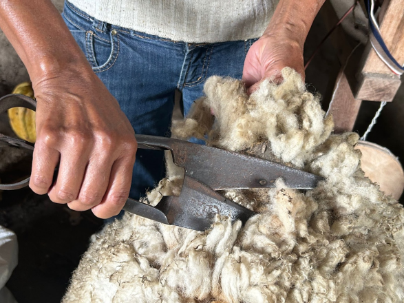 Caçapava recebe curso gratuito Rota da Lã_crédito Letícia de Cássia Rota da Lã
