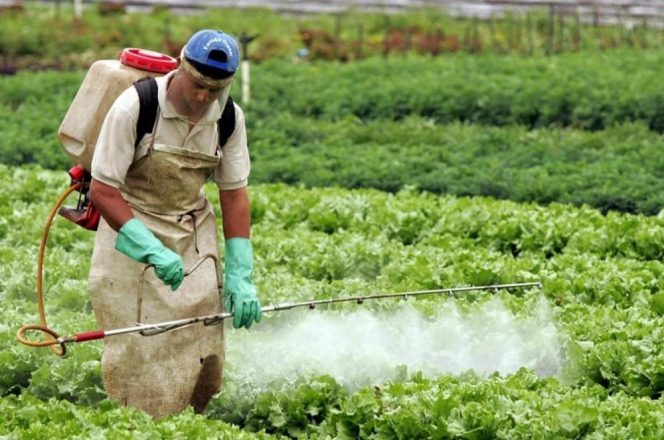 Cotrisul oferece treinamento gratuito para aplicadores de herbicidas hormonais_crédito Divulgação