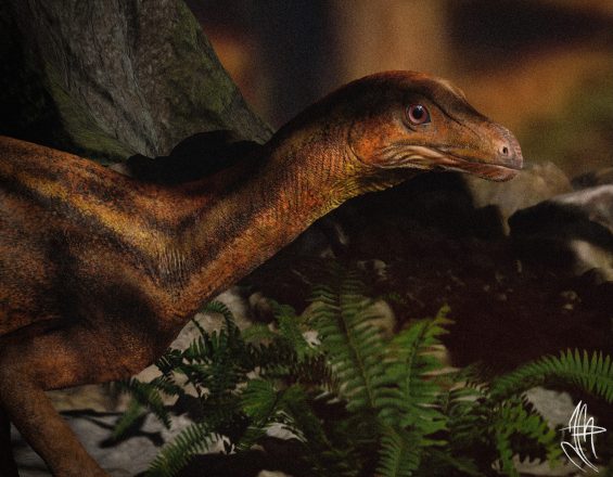 Detalhes do dinossauro Saturnalia tupiniquim em vida (crédito Johnny “Mingau” Pauly Vieira)